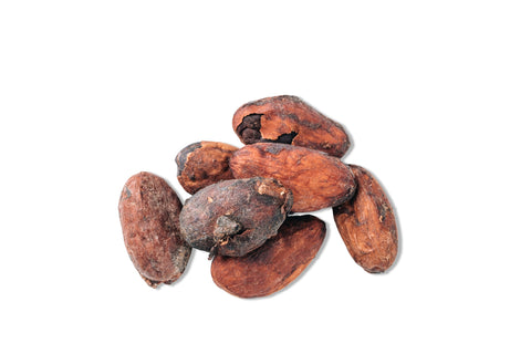 Cacao Seed